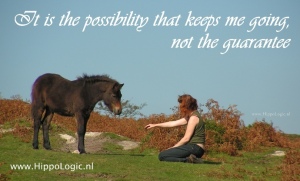 It is the possibility that keeps me going, not the guarantee