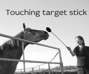 _zw_touchtarget
