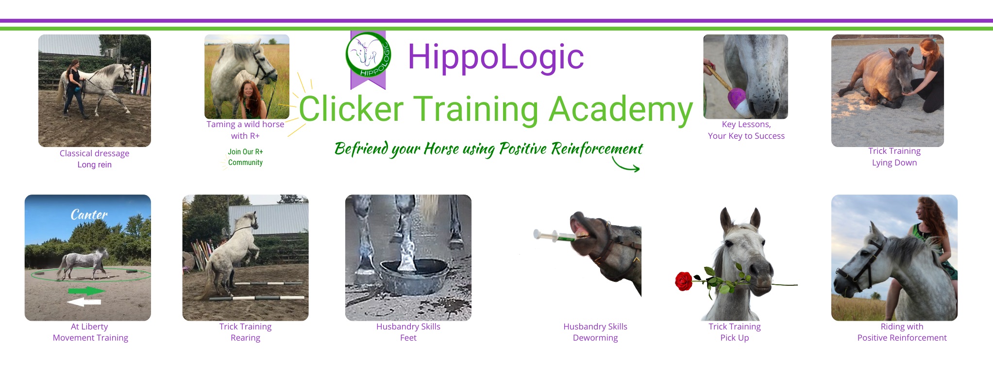 HippoLogic Clicker training academy Youtube channel banner (8)