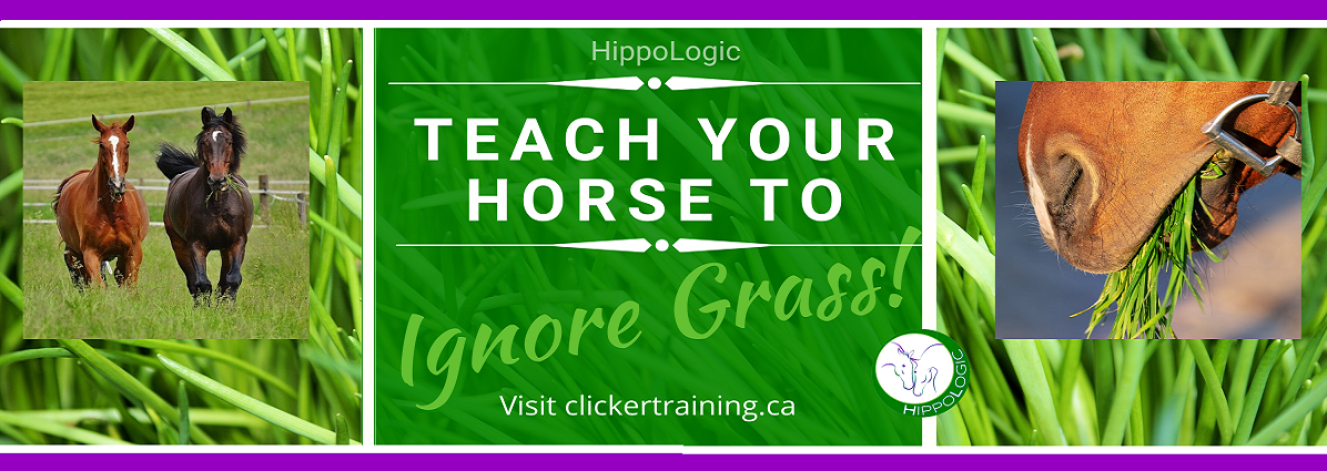 grass training Hippologic clicker training horse Banner blog