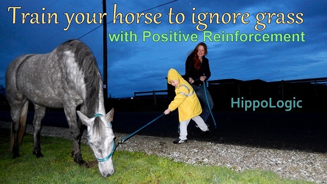_Teach your horse to ignore grass