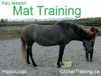 mat_training_hippologic1