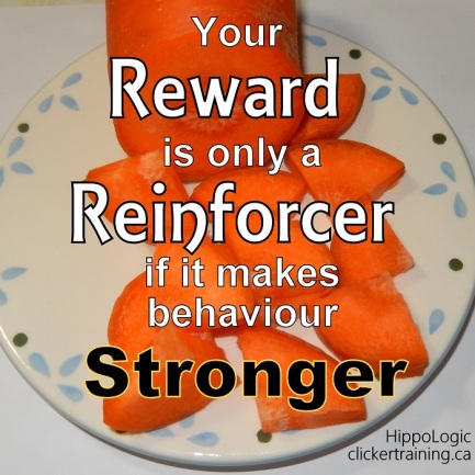 _carrot_reward_reinforcer_horsetreat_tips for treats_horsetraining_hippologic