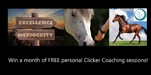 https://kingsumo.com/g/1dnyst/attention-clicker-fans-want-to-win-one-month-free-clicker-coaching-yes-4-hours-of-professional-one-on-one-coaching