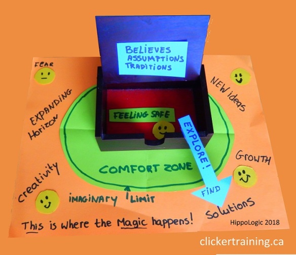 Think out of the Box! Be creative in horse training and get results