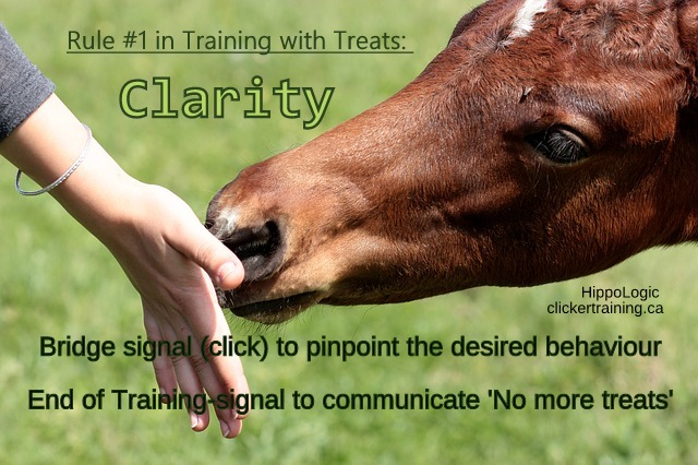 training with treats_clarity_hippologic clickertraining