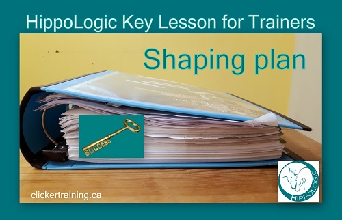 _Key Lesson for Trainers_shaping plan clickertraining hippologic