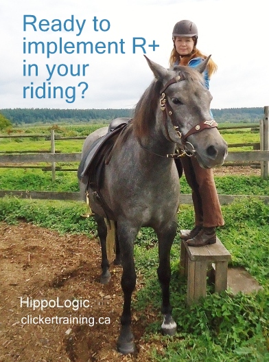 riding with clickertraining hippologic