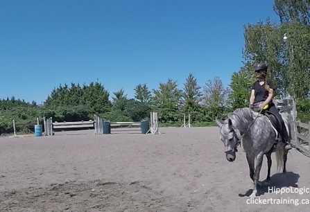riding_with_the_Clicker_clickertraining_hippologic