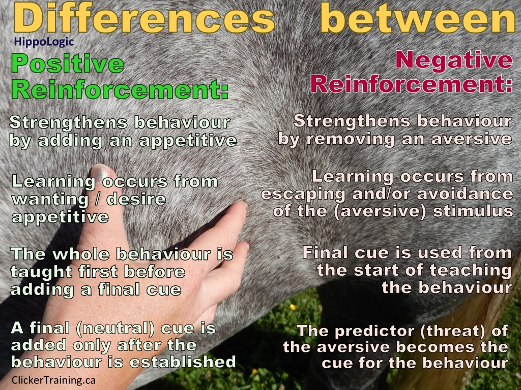 differences between positive reinforcement and negative reinforcement training